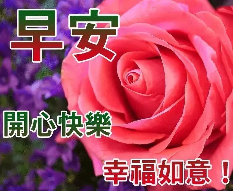 清晨祝福大家早上好的问候语录问候早上好图片动态带字