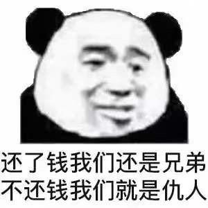 活不起了,不要假装不在,啥时候还钱