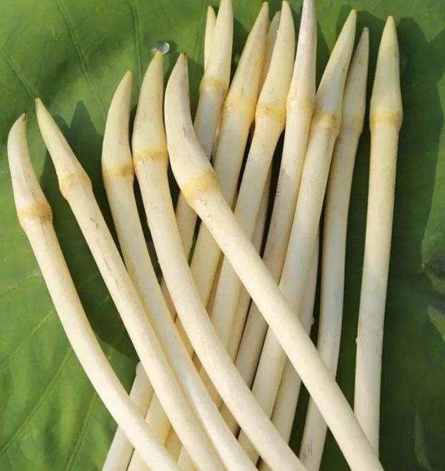 原创这几种南方蔬菜,北方人见都没有见过,你认识哪一种?