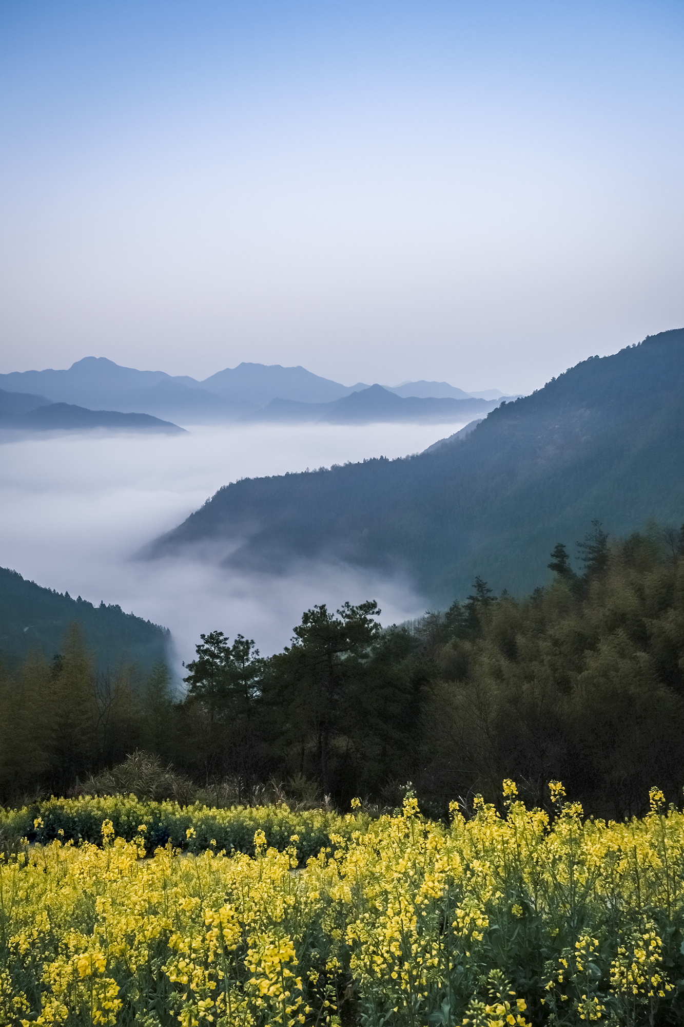 黛色的青山峰峦叠嶂,弥漫的薄雾轻飞缭绕,粉色桃花和黄色的油菜花交相