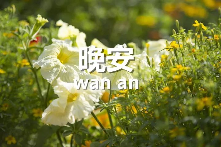 ¼ͼƬ