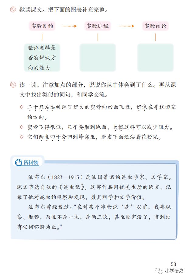 《蜜蜂》是部编版教材语文三年级下册的一篇精读课文,作者是法国著名