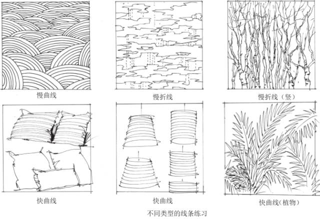 手绘基础 入门学习训练要点