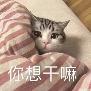 沙雕表情包:如果不是没人爱,谁又愿意当舔狗?