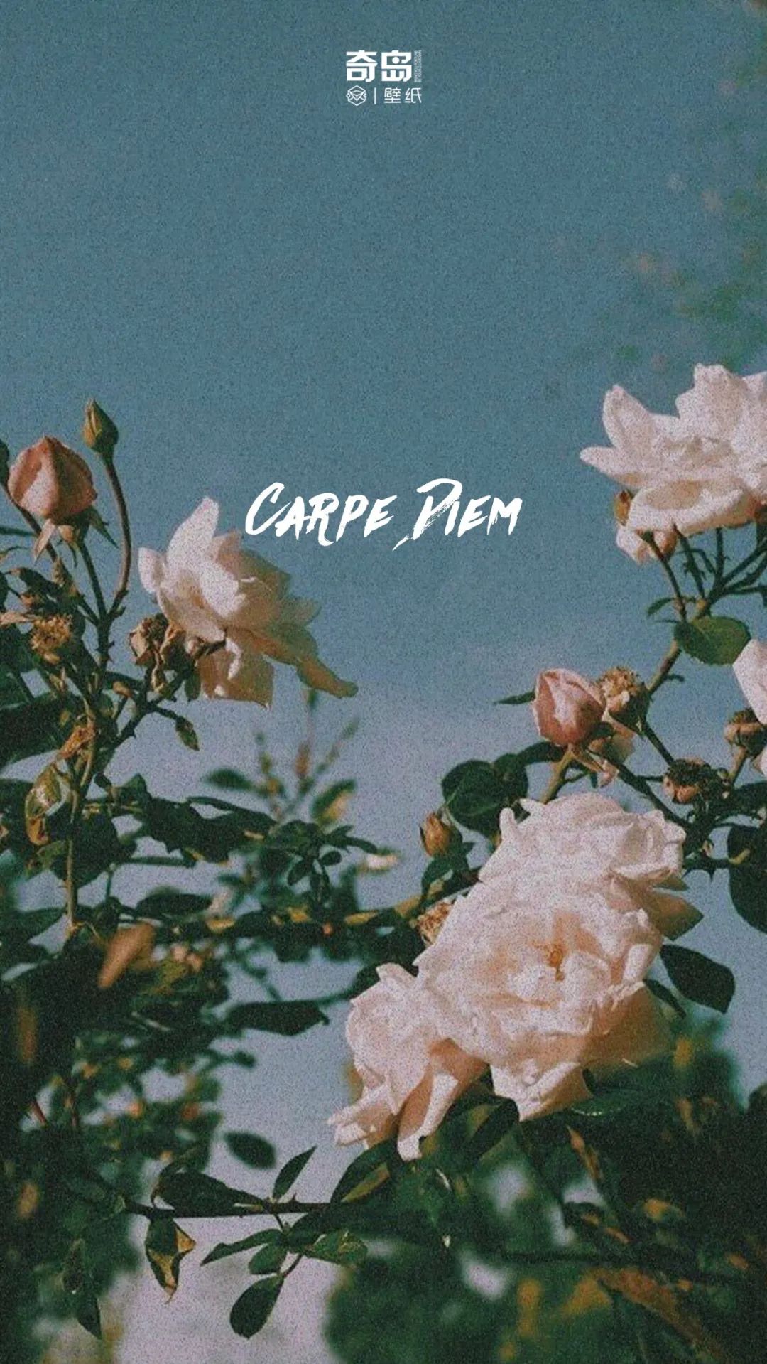 ת�˱�ֽͷ�� �κ����ɥ