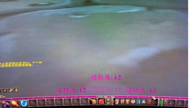魔兽世界怀旧服玛拉顿经验