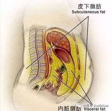 我想减肚子怎么办