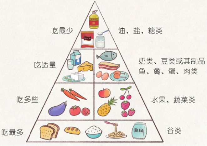 1. 家长请孩子观看膳食金字塔,说出他的发现和体会.