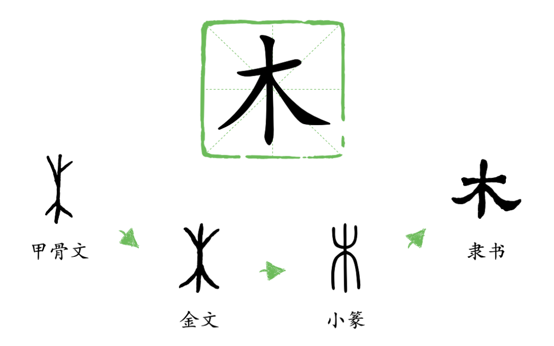 它不是枯燥的识字读物,而是用生动的象形字书画把汉字"画"出来,带孩子