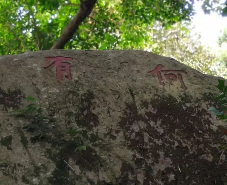 你就这样流芳漳州!