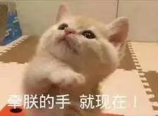 新男友丑陋还已婚？曾和周冬雨暧昧，疑和周迅