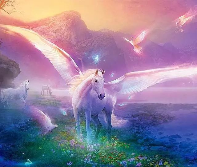 梦境奇观,昨夜天际的飞猪、飞鱼与飞马——一场关于自由与幻想的深度解梦 梦境奇观,昨夜天际的飞猪、飞鱼与飞马——一场关于自由与幻想的深度解梦