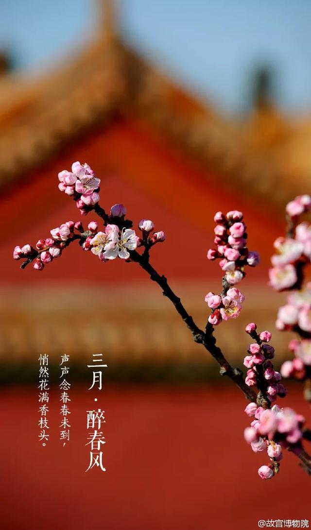 三月:愿山河无恙,岁月静好