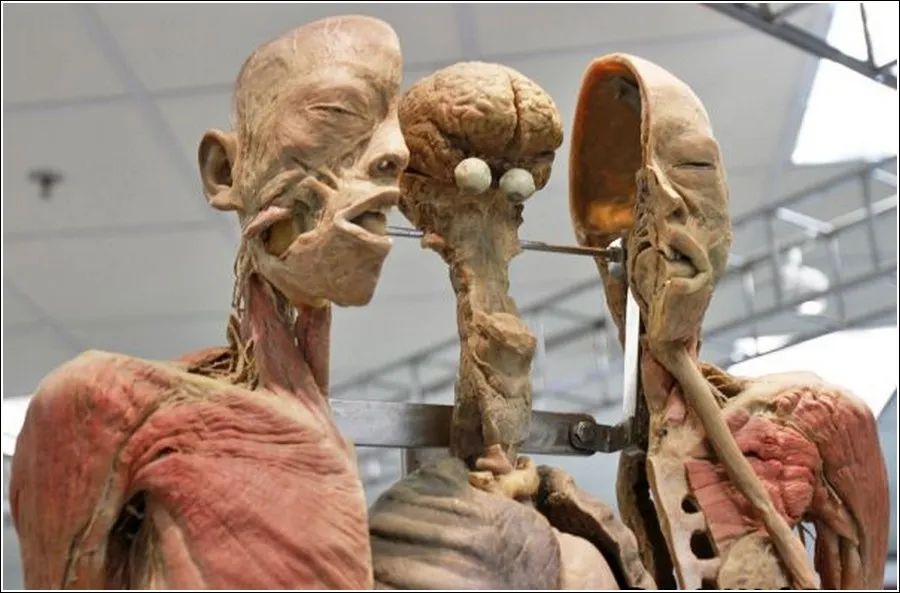 死亡的艺术,泰国"死亡博物馆","镇馆之宝"是惊悚片原型