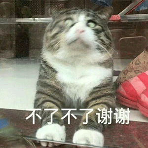 沙雕表情包:如果不是没人爱,谁又愿意当舔狗?