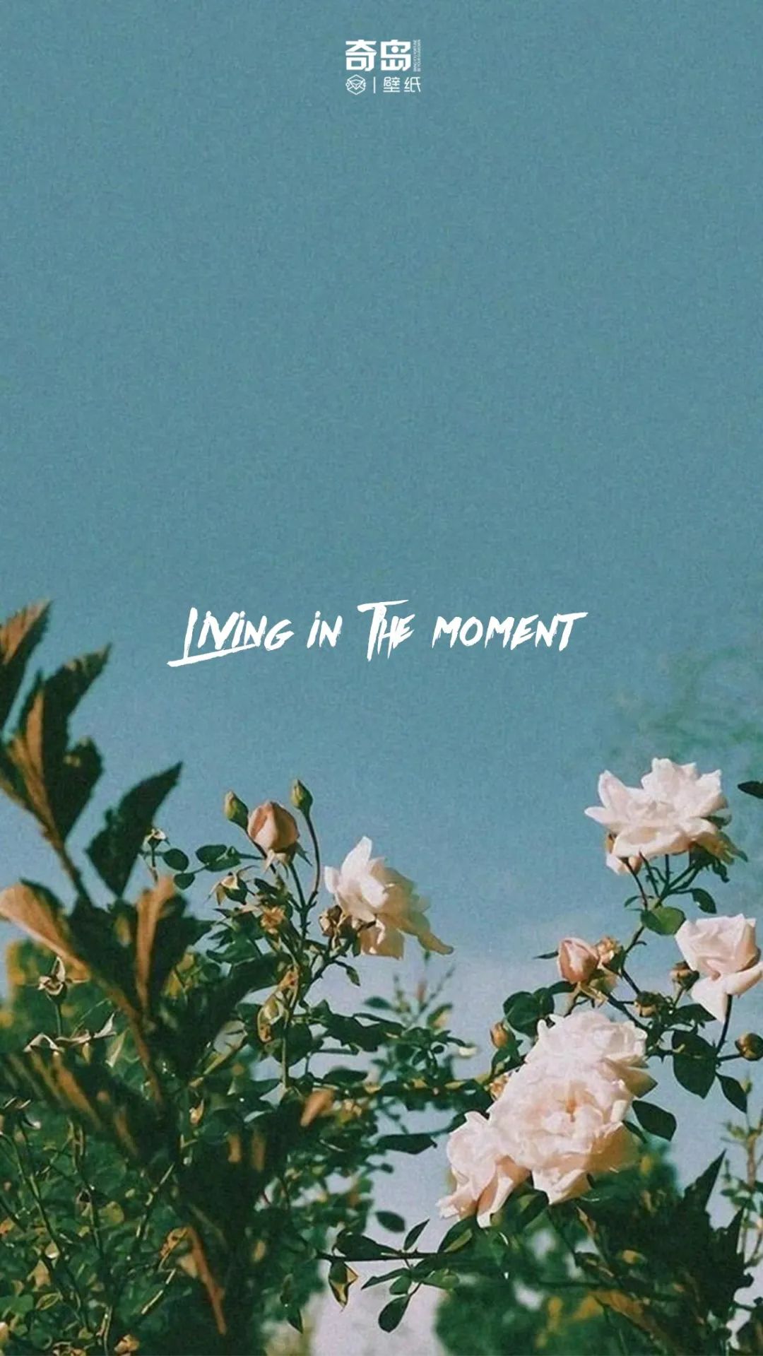 ת�˱�ֽͷ�� �κ����ɥ