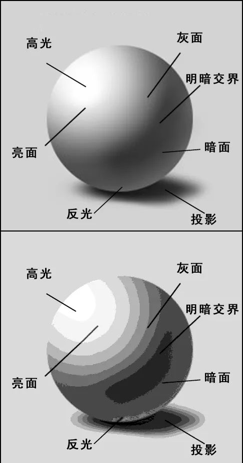 素描入门基础理论——三面五调