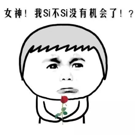 关于女神的斗图表情包合集|要想挨着女神睡,就不要嫌玫瑰贵