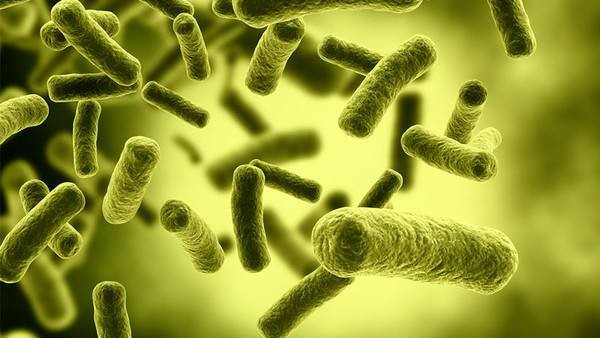 为什么病毒没有特效药