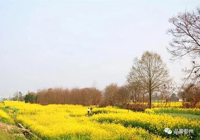 美哉快看成都彭州30张春耕美图给你一片希望的田野