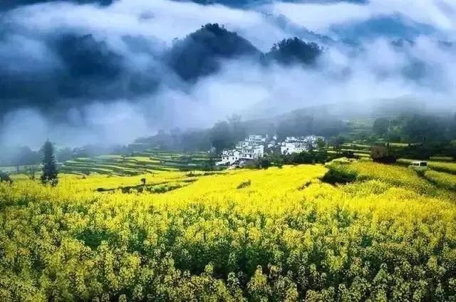 购买假印章,p图,伪造小区临时出入证,拘留!