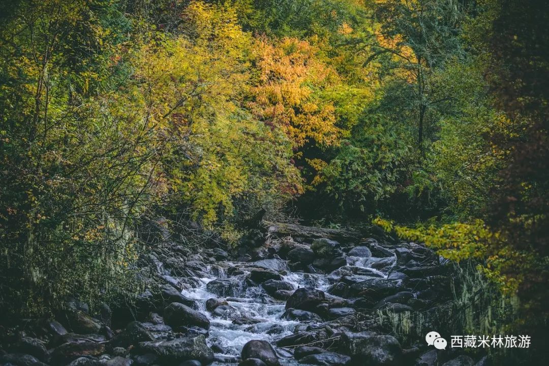 陇县南峡沟人口_陇县马蹄酥