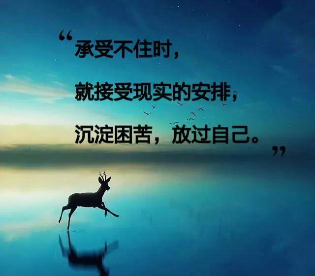 人活一世,抱怨一天,不如努力一天;早安