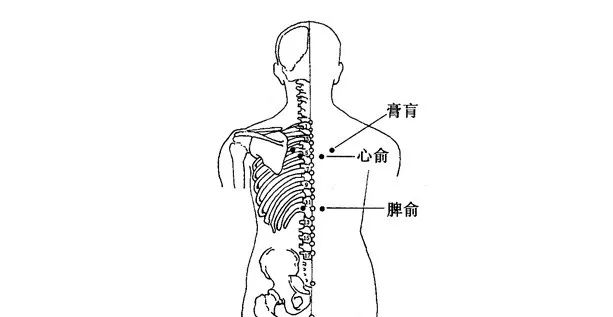 2,命门: 命门中有命门之火,是人体的先天之火,可温脾阳,蒸发湿气的