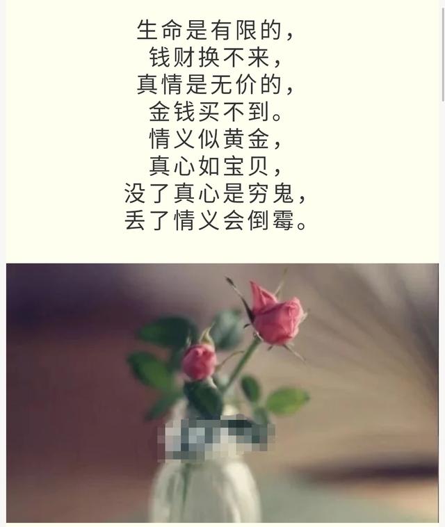 读一段真心话,真情难遇,真心难买