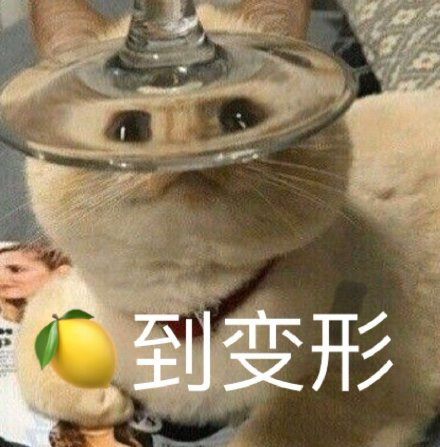 猫咪柠檬酸系列表情包