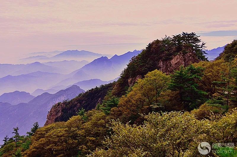 《伏牛山风景》    