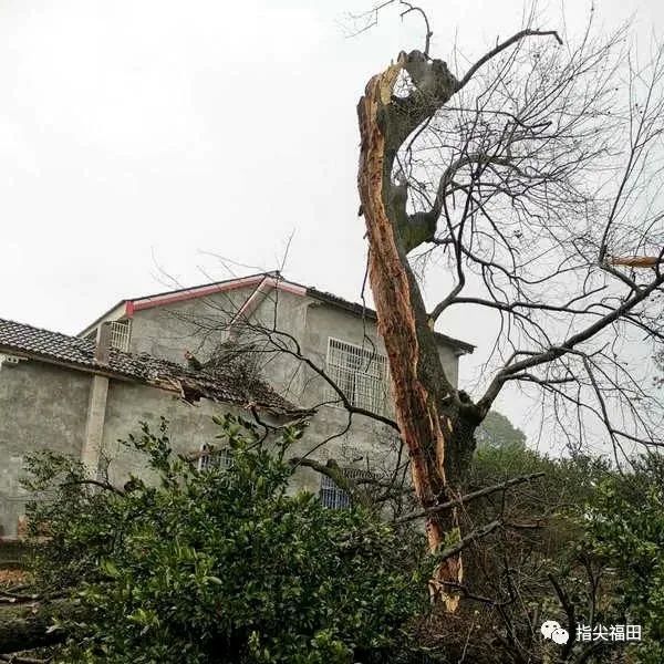 人在户外,雷雨时应及时进入有避雷设施的场所,不要在孤立的电杆,房檐