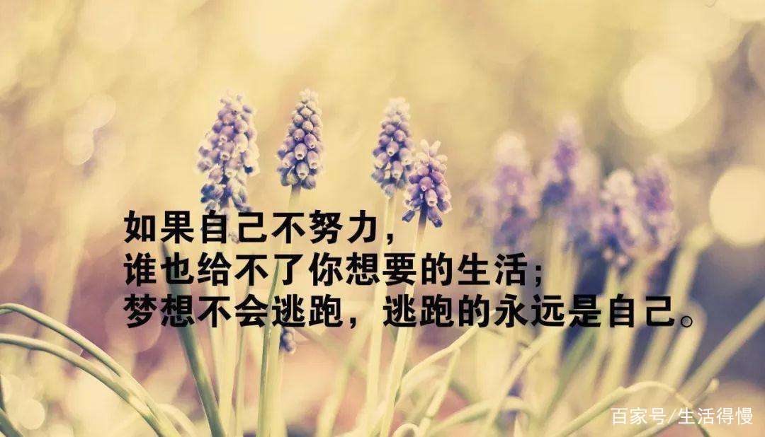 7fe84c32b5fd48fa84b8c6b9529970b8.jpeg