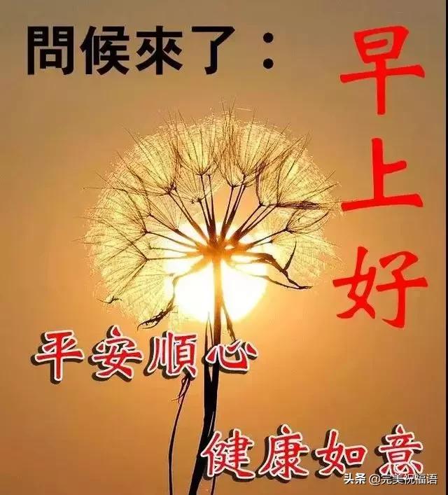 2020最新漂亮清晨早安问候图片带字 最美早上好问候语