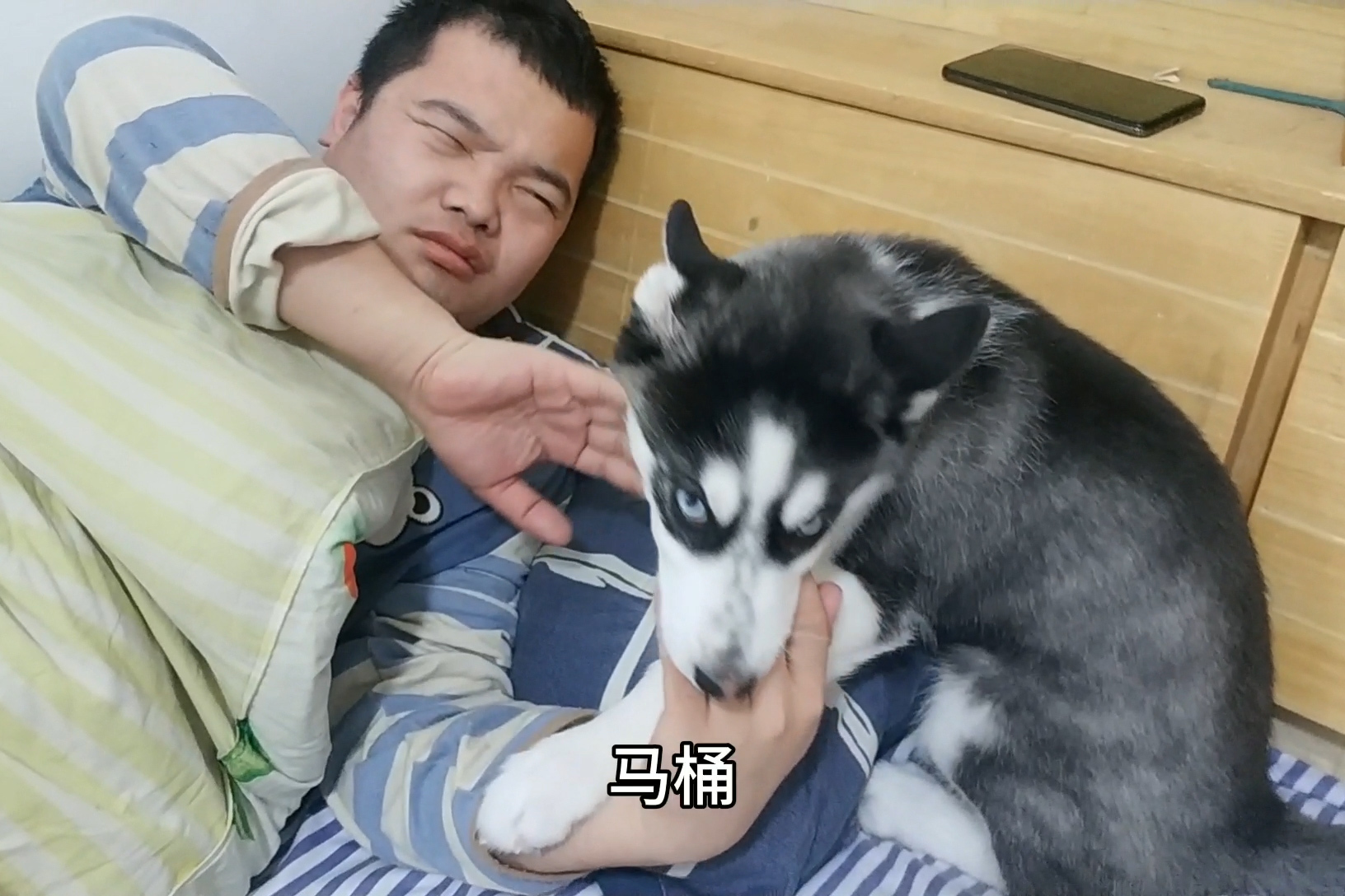 小黑小黄的幸福狗生