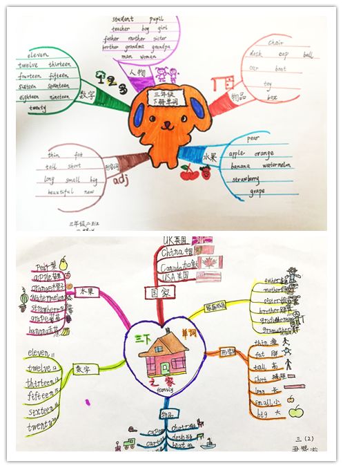 【学科活动】发散思维,聪明学习—— 三年级英语"一起来画思维导图"