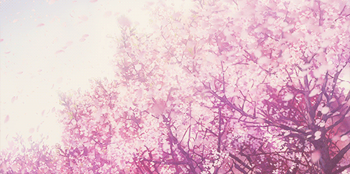 疫情终将散去,樱花依旧会盛开,3月你好!复工复产——我准备好了!