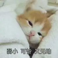 童年女神罕见露面晒孕肚！嫩男老公情史糜烂臭