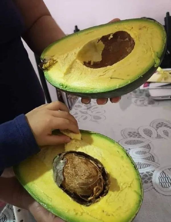 原来亲吻的位置不同,含义也不同~ | 今日囧图