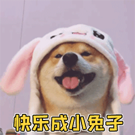 a4d556b038f34fd1ada039176699b74d.gif