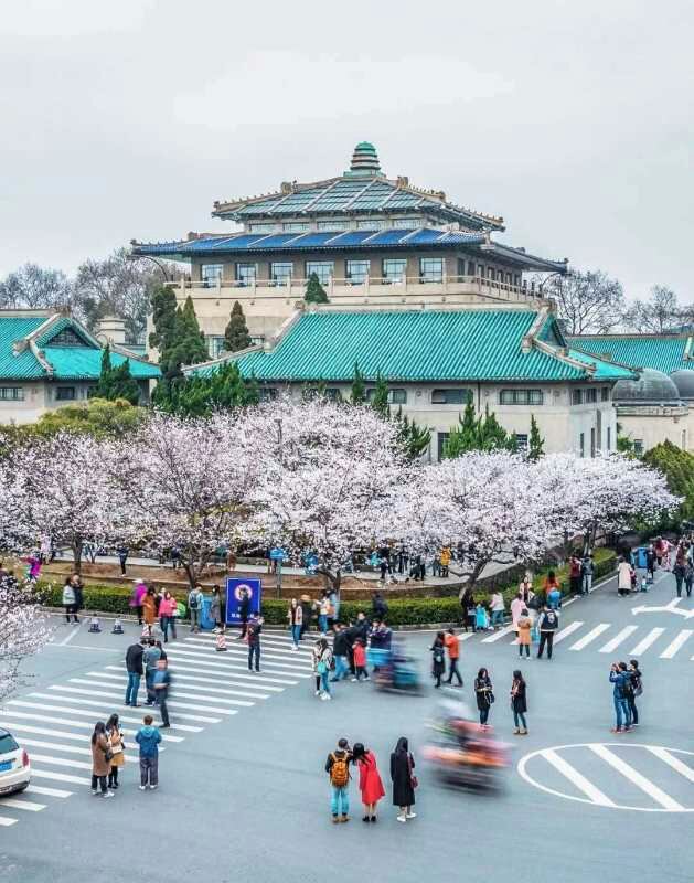 战"疫"进行时 | 南医大四附院李茹芝有一封永远送不到