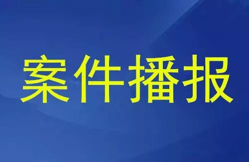 拘役重点人口_重点色布偶