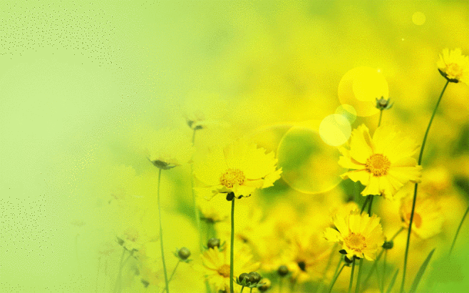 b6034f2638a7481bb9faa0fd75a8306d.gif