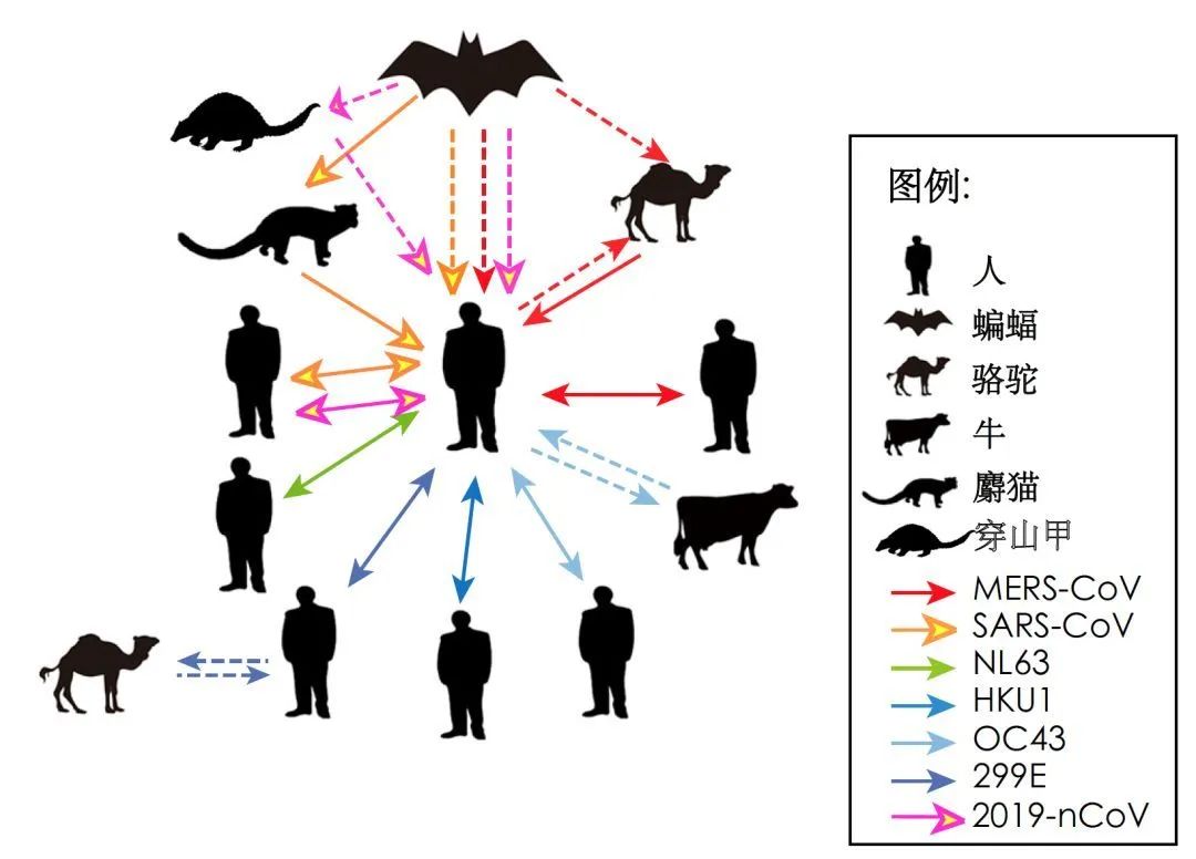 传播力胜过sars,需要担心新冠病毒变异吗?