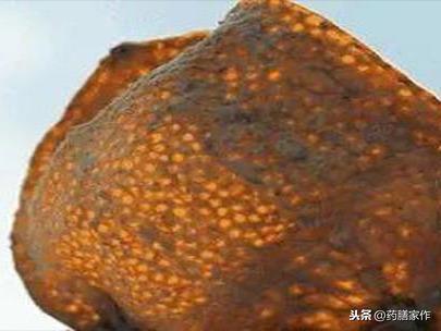 陈皮加什么化痰理气 be1f545f259b4b8693cd75729aa50436.jpeg