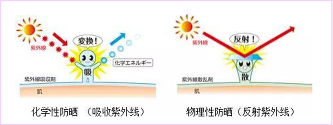 防晒的两大类型主要分为化学防晒和物理防晒, 那么到底什么是化学防晒