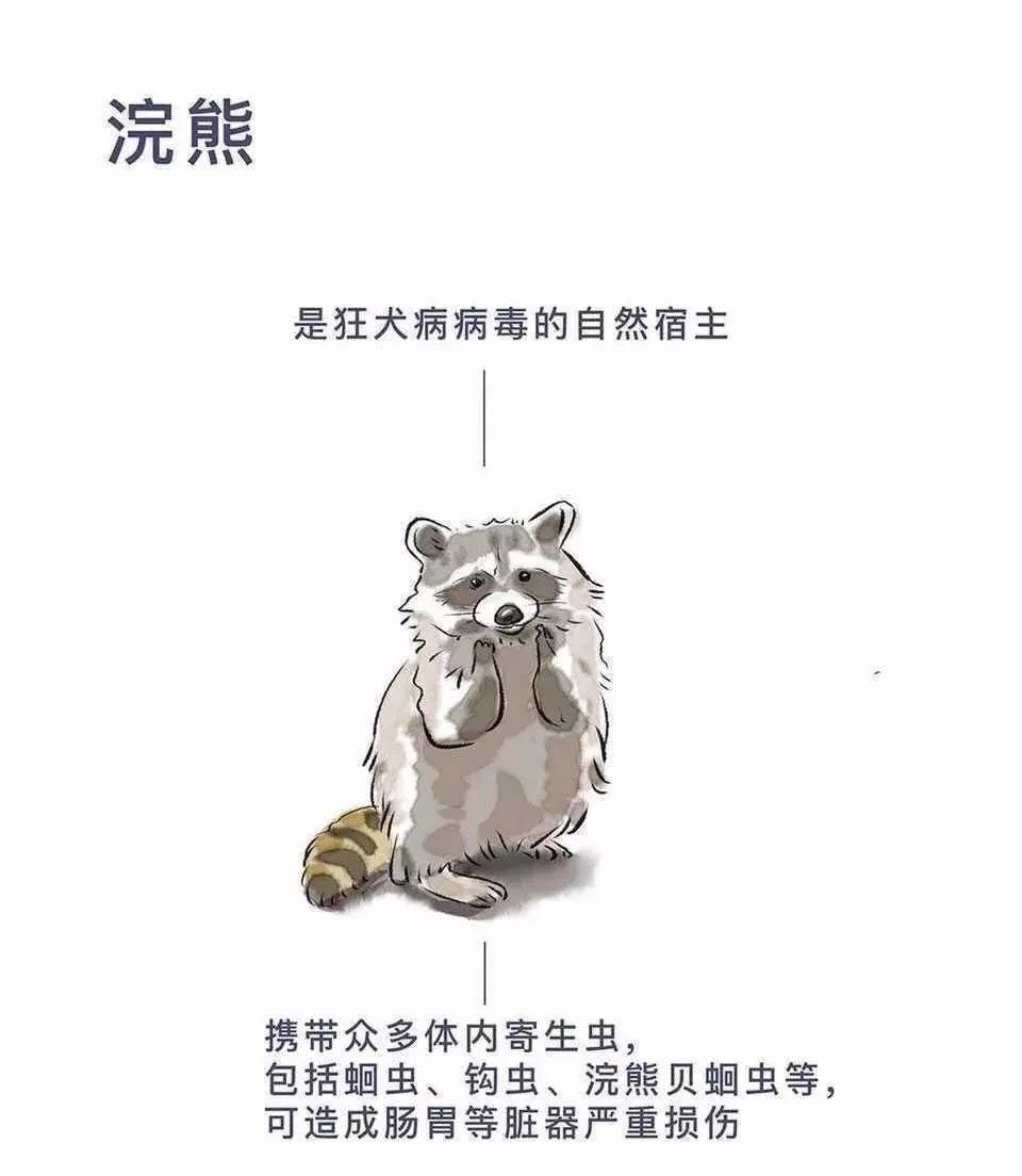 d2f05ac737714ab0bdee55aa4afa9ea0.jpeg