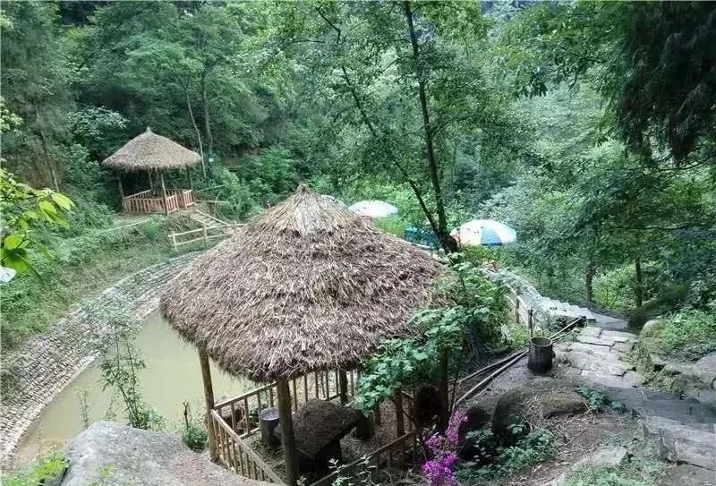 义阳山上转一转