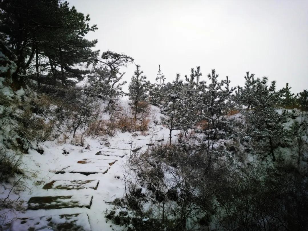 平度:明村三合山"云雪景" 送给为疫情坚守的人们!