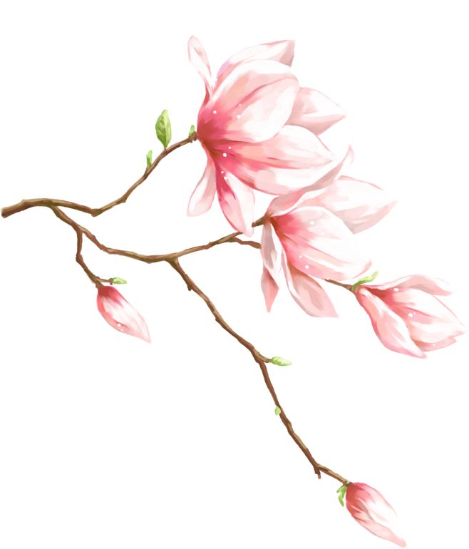 艾草 蜀人旧食决明花耳颍川夏秋少菜崇宁老僧教人 ——苏辙 秋蔬旧采